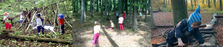 Lesní workshopy pro školky